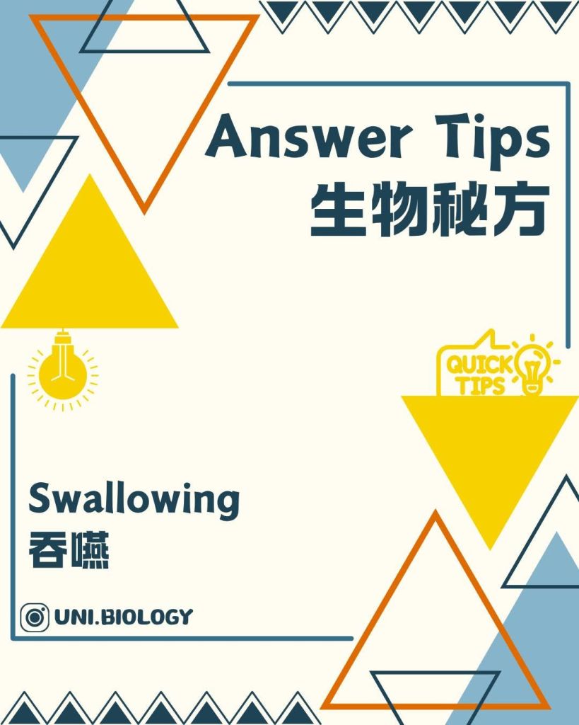 【DSE Biology 生物秘方】人係點樣吞嚥？4 個步驟拆解 Swallowing 答題技巧｜DSE Biology 圖卡 3