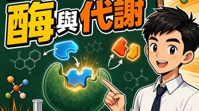 DSE 酶活性全攻略：溫度、pH 與新陳代謝重點－DSE生物科重點重溫2.0封面