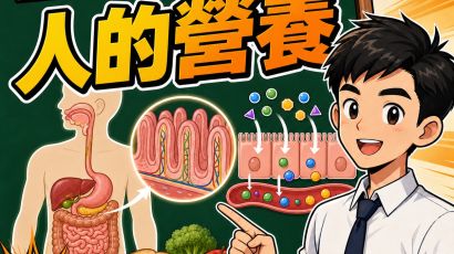 人的營養：消化、吸收與同化 DSE Biology 流程－DSE生物科重點重溫2.0封面