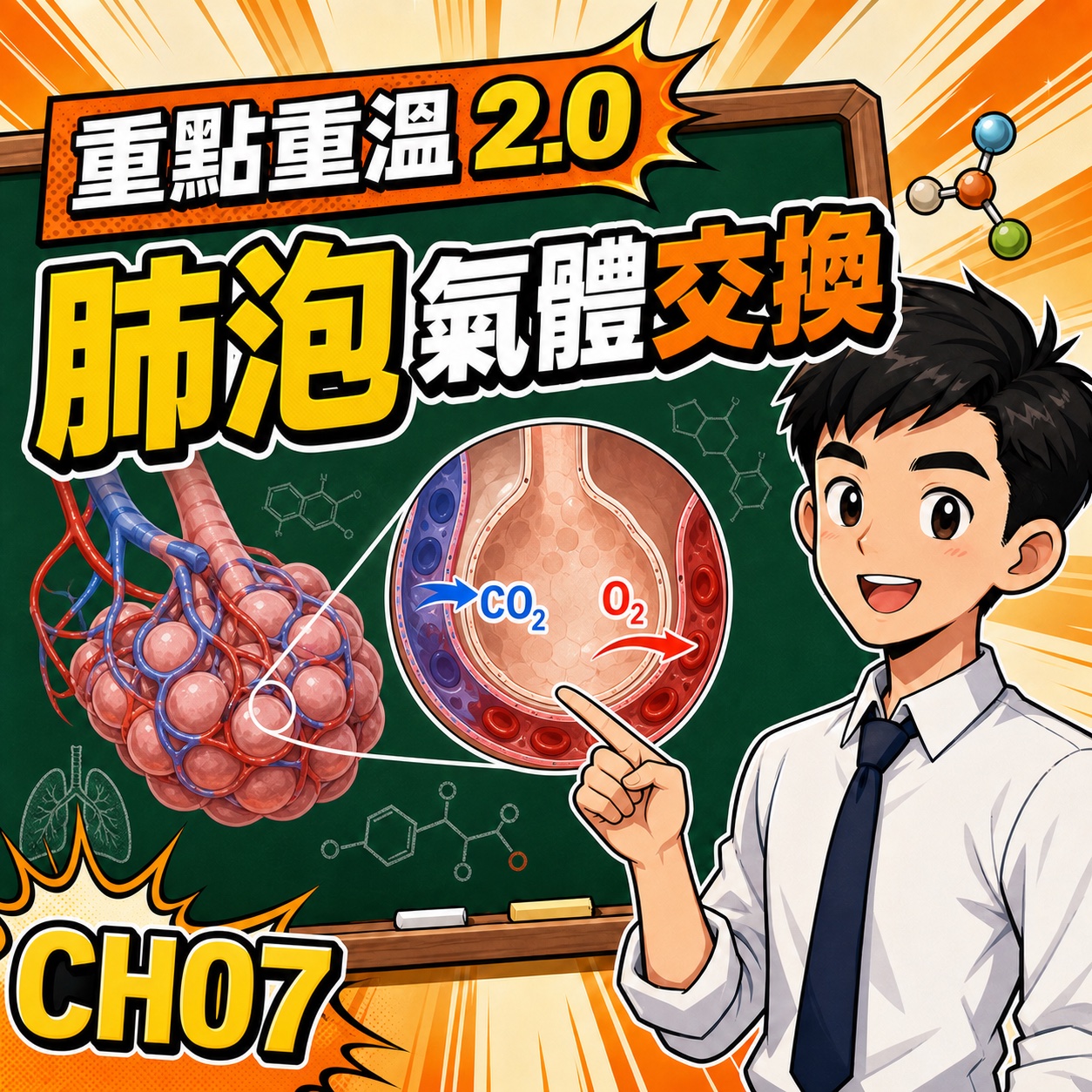 肺泡氣體交換 DSE 重點：結構、擴散與通氣－DSE生物科重點重溫2.0封面