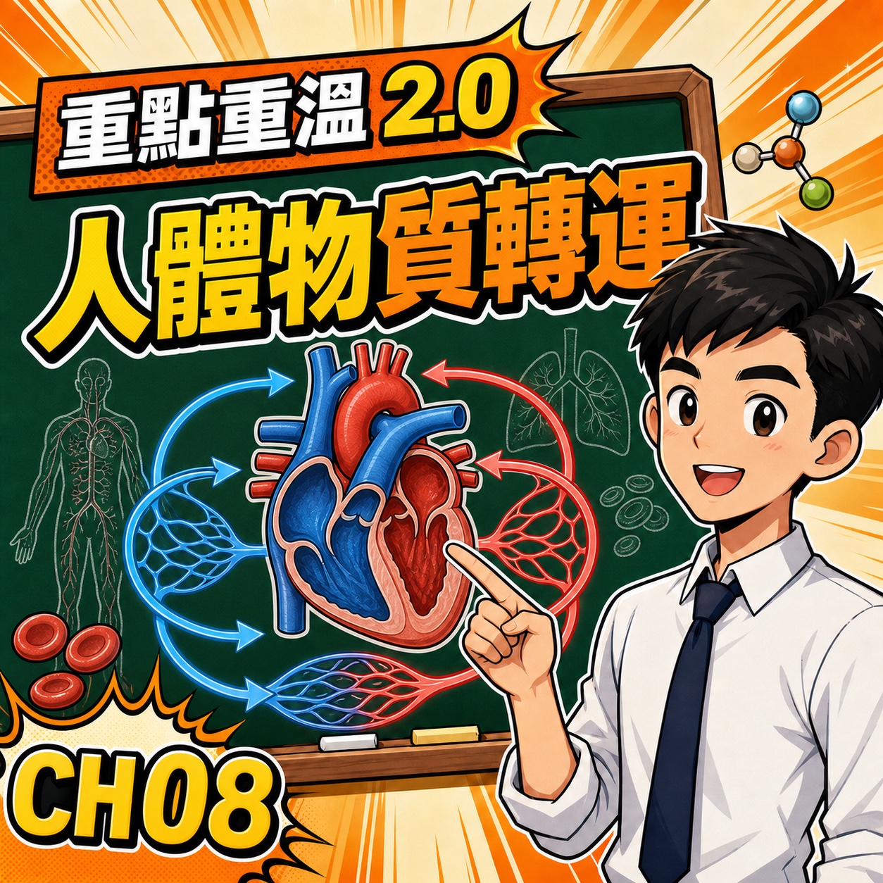 人體物質轉運:心臟、血管與雙循環 DSE 整合-DSE生物科重點重溫2.0封面
