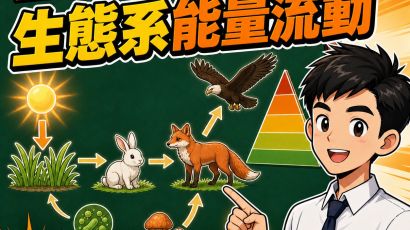 生態系能量流動：食物網、金字塔與物質循環－DSE生物科重點重溫2.0封面