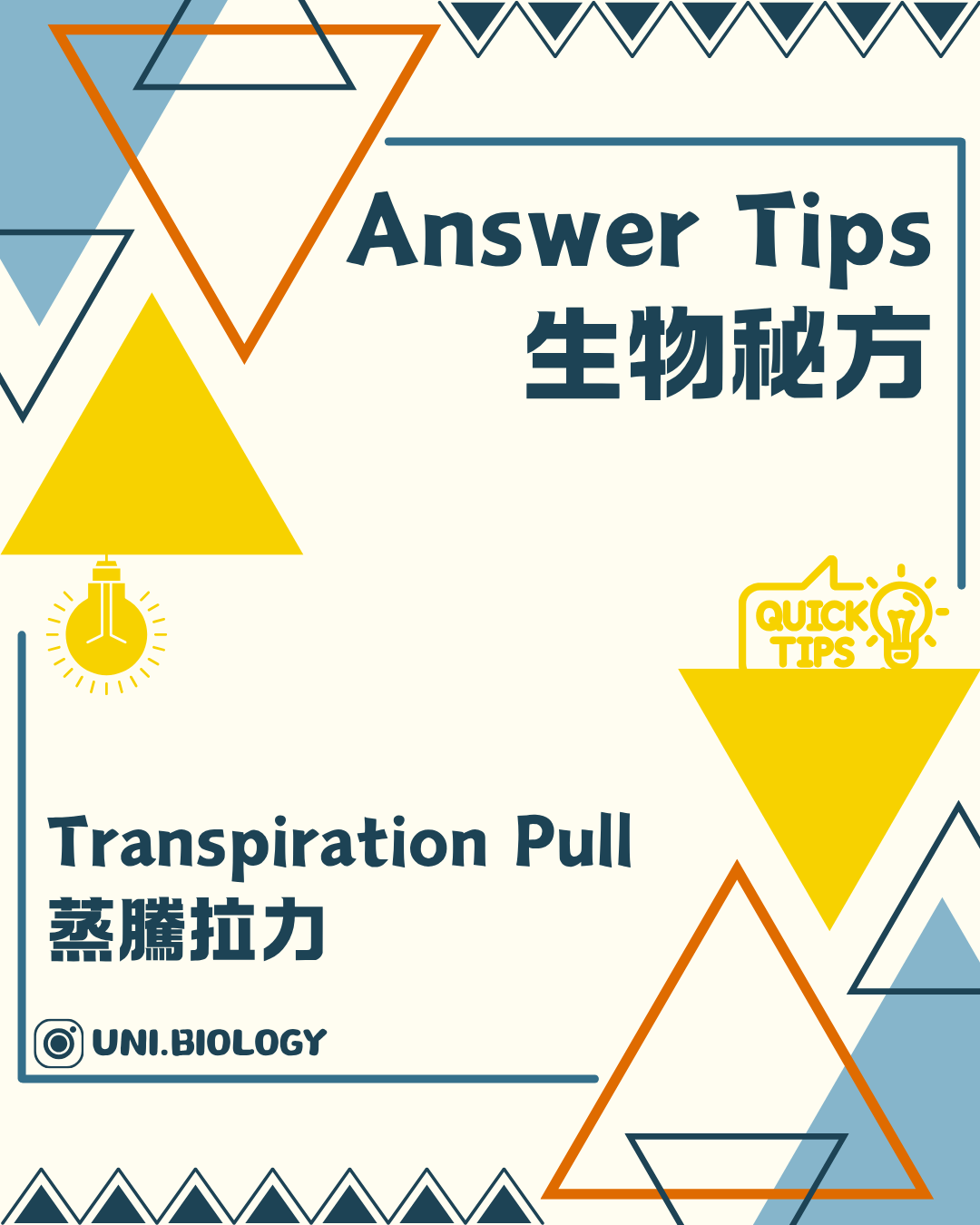 蒸騰拉力 Transpiration Pull 植物運水概念圖