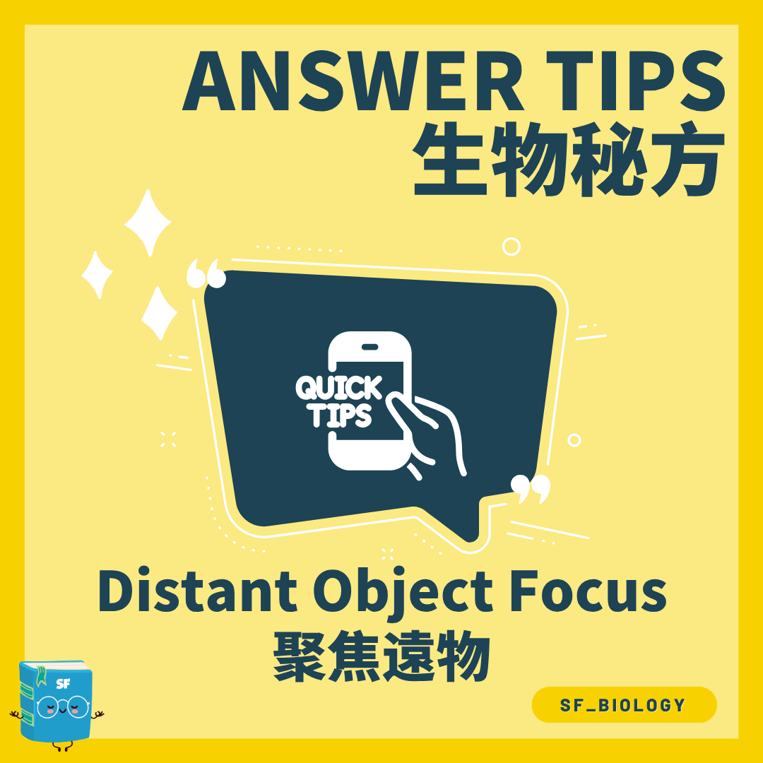 眼睛遠物聚焦 Distant Focus 調節概念圖