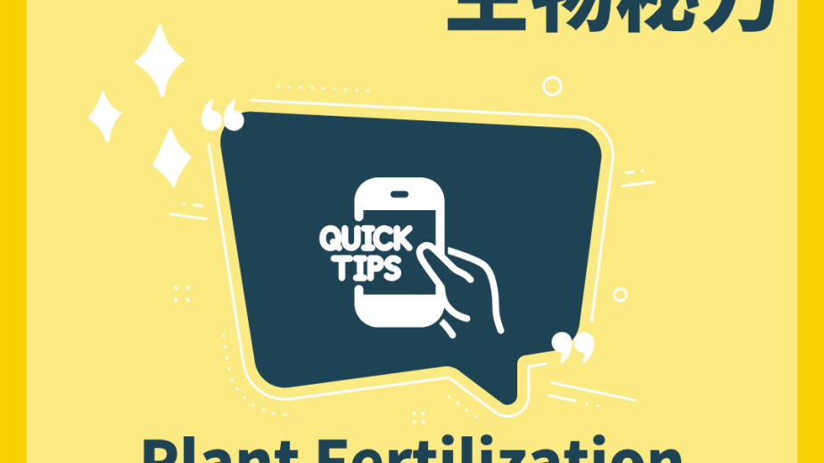 開花植物受精 Plant Fertilization 過程概念圖
