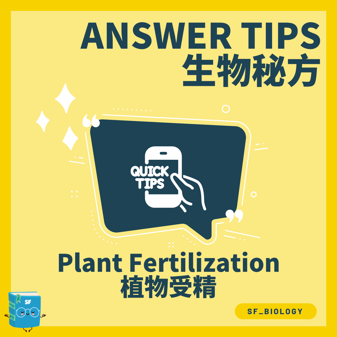 開花植物受精 Plant Fertilization 過程概念圖