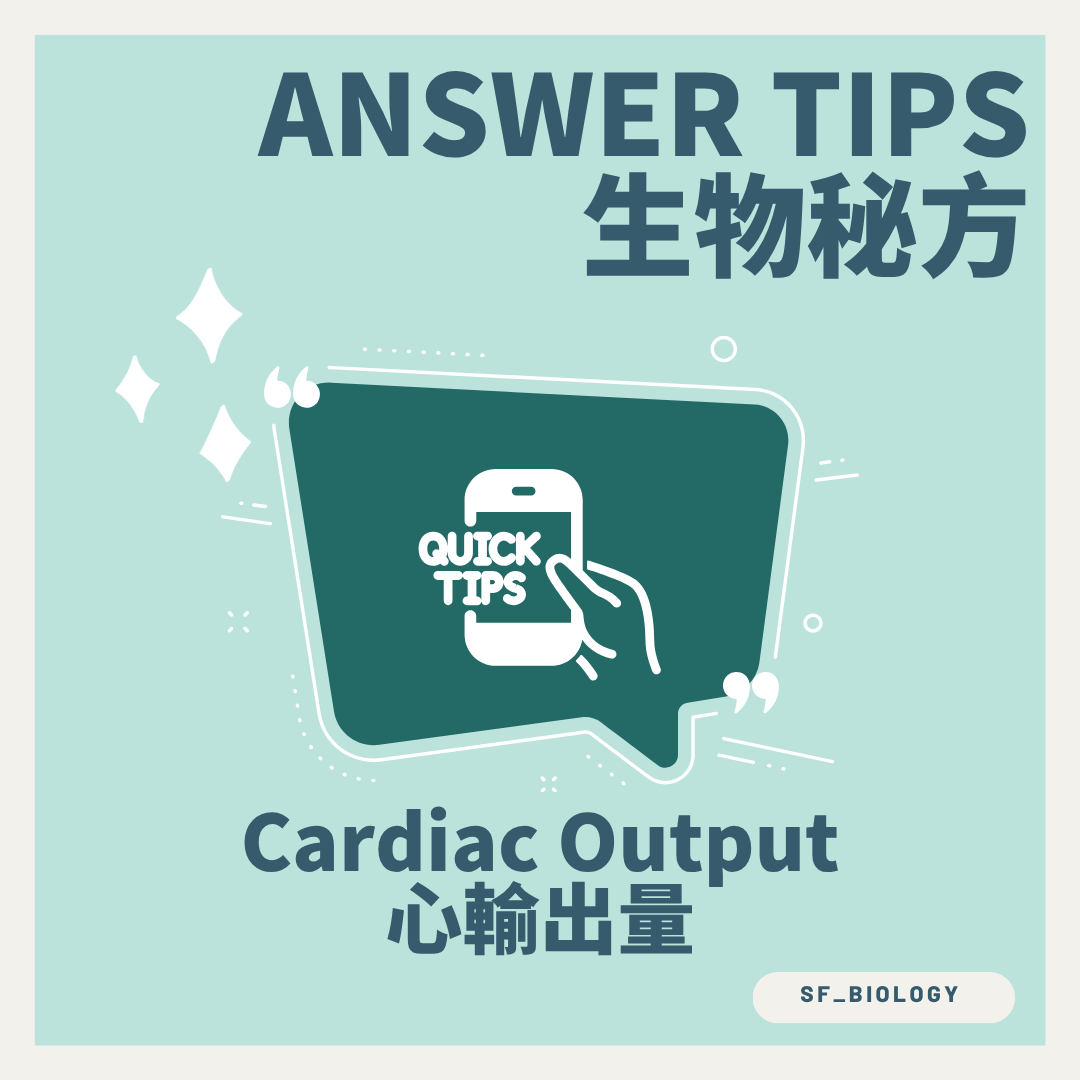 心輸出量 Cardiac Output 計算與運動反應概念圖