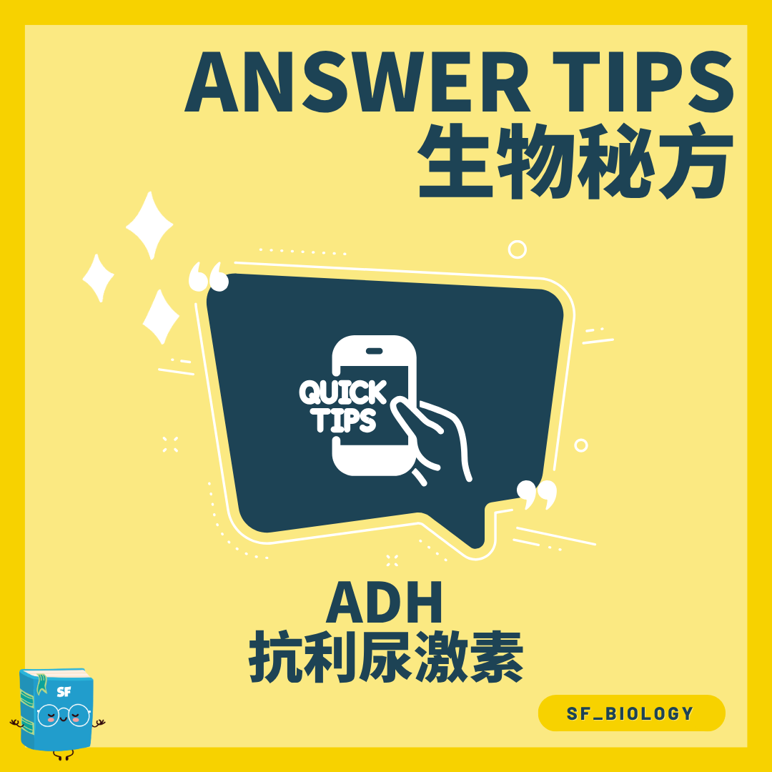 ADH 抗利尿激素調節血液水分概念圖