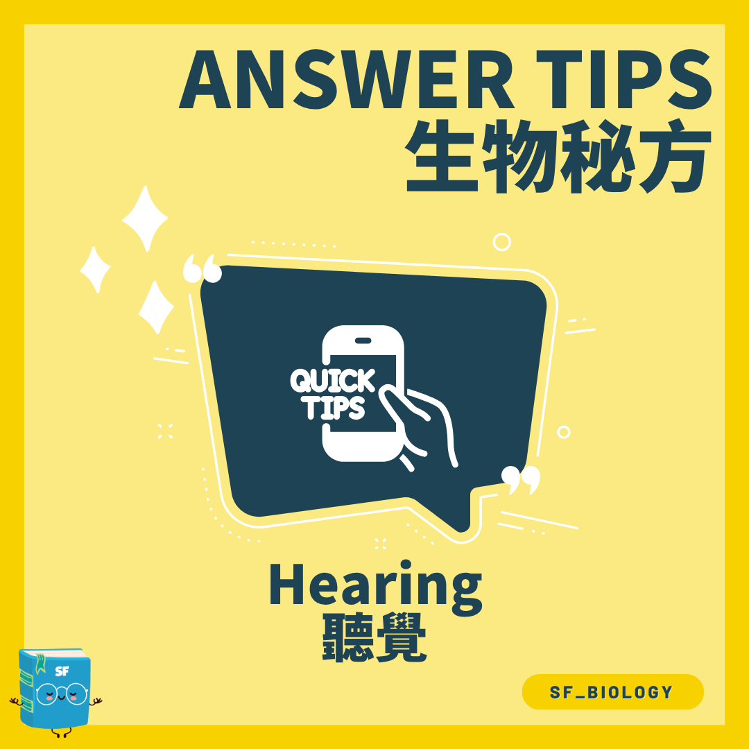 人耳聽覺 Hearing 聲音傳導概念圖