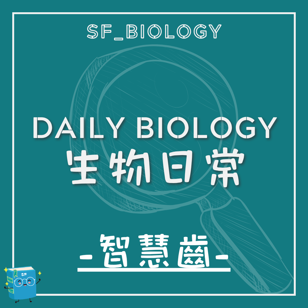 生物日常智慧齒成因與人類進化封面