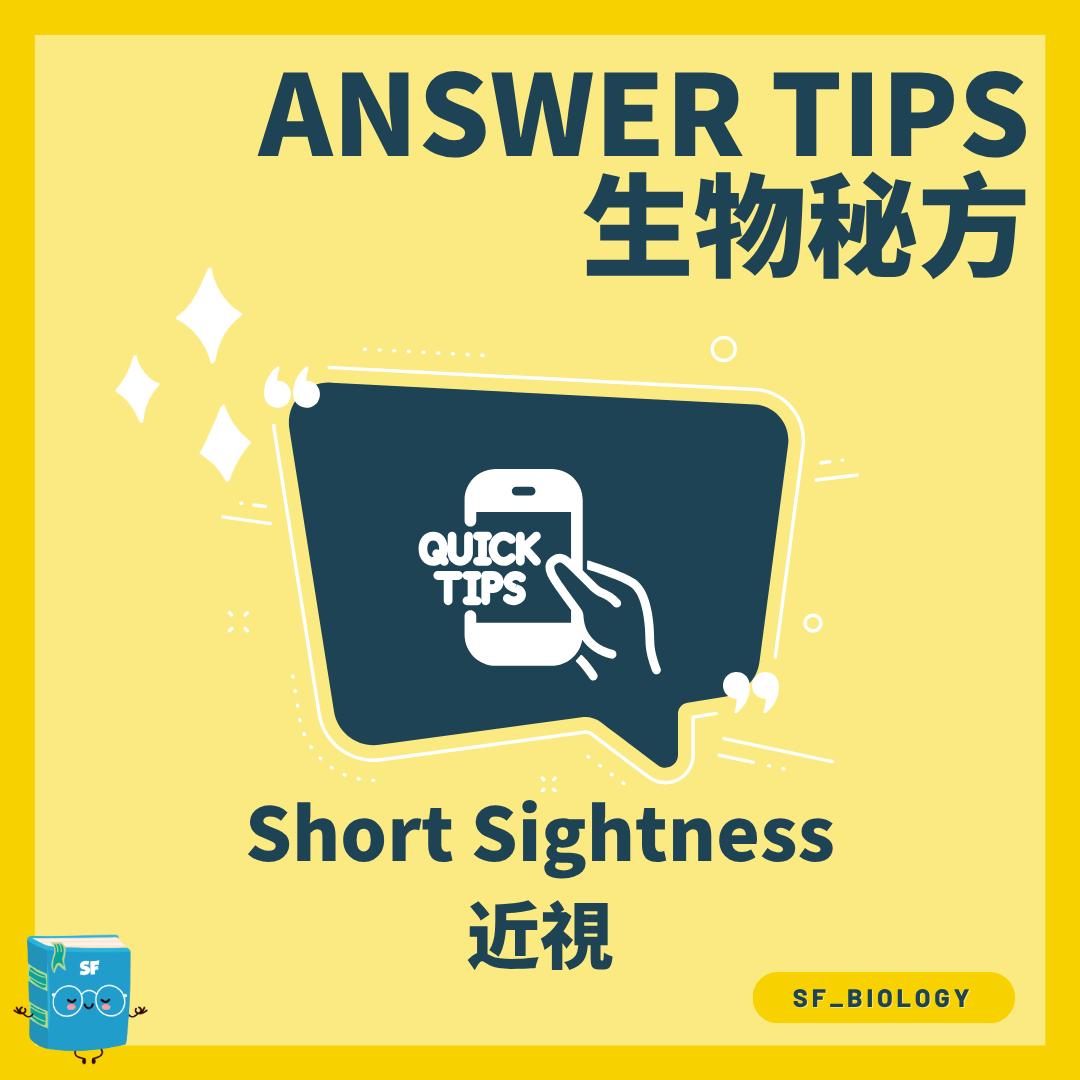近視 Myopia 成因與凹透鏡矯正概念圖