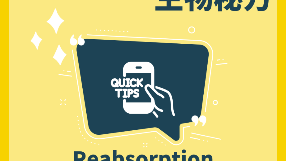 腎小管選擇性重吸收 Reabsorption 概念圖
