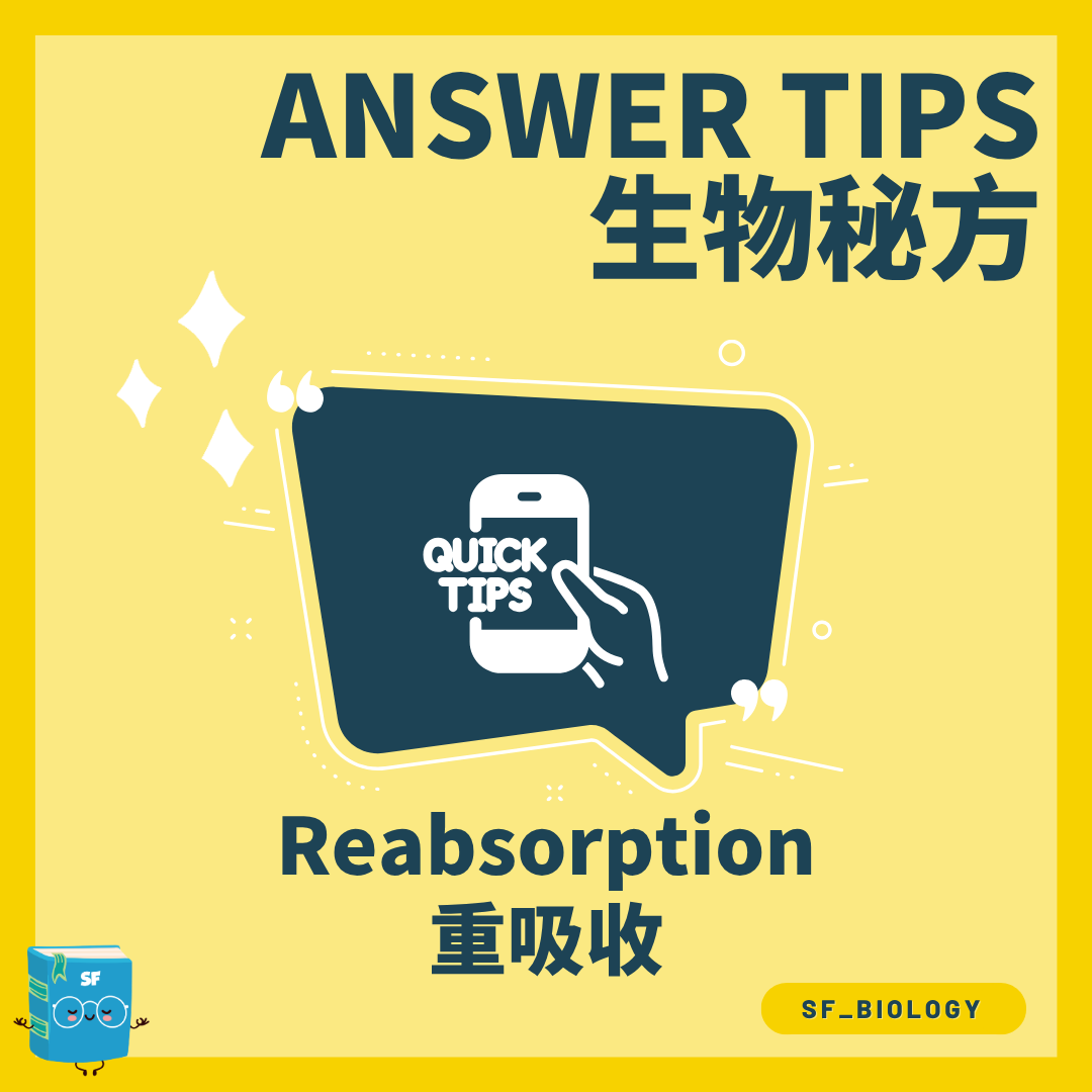 腎小管選擇性重吸收 Reabsorption 概念圖