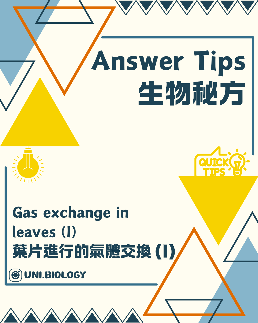 葉片氣體交換 Gas Exchange 結構概念圖