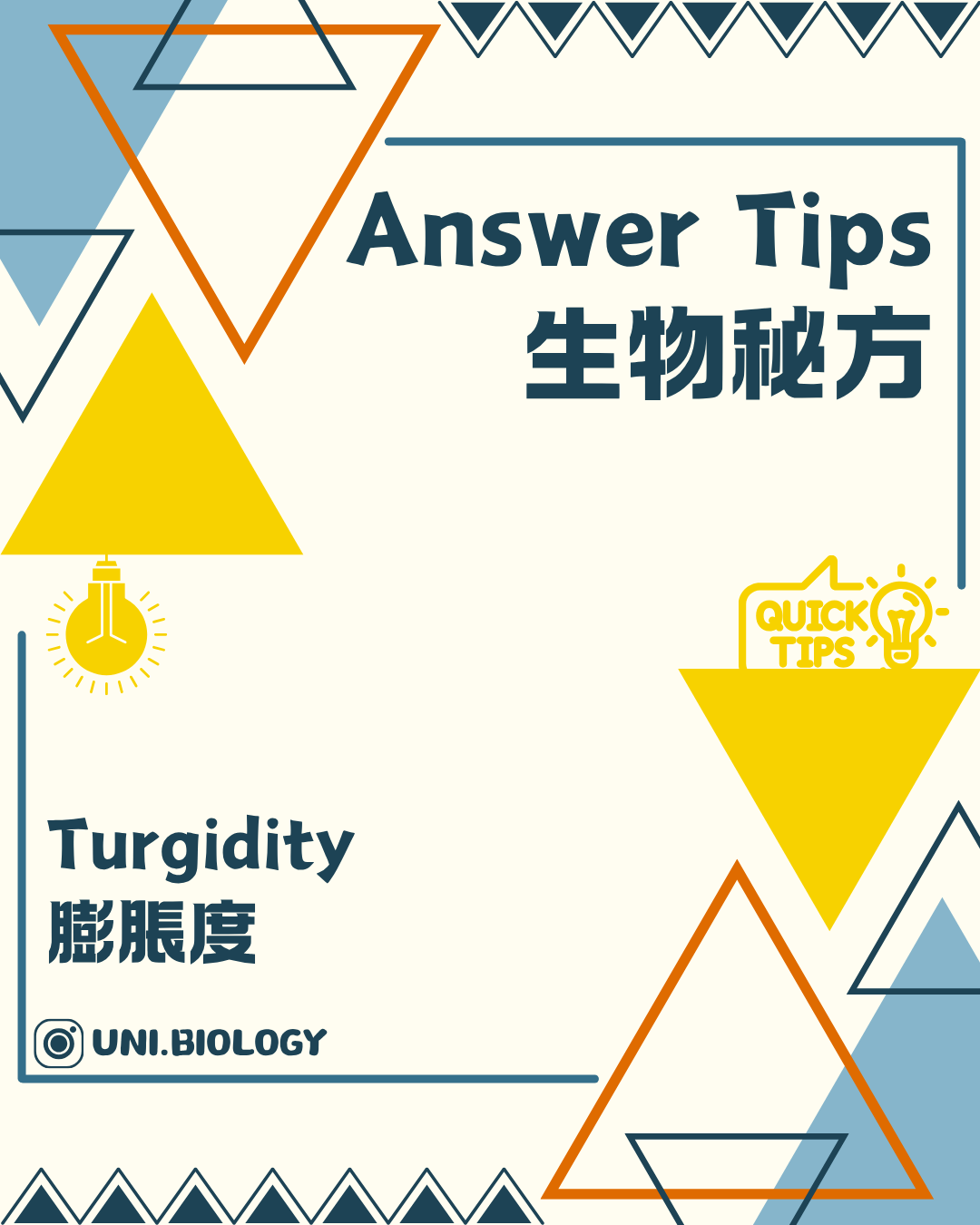 植物細胞膨脹度 Turgidity 與支撐概念圖