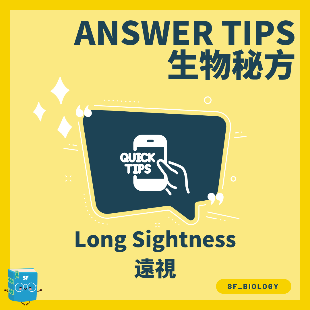 遠視 Hyperopia 成因與凸透鏡矯正概念圖