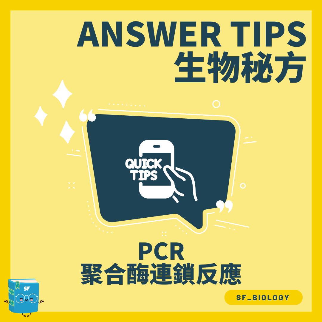 PCR 聚合酶鏈式反應三步驟概念圖