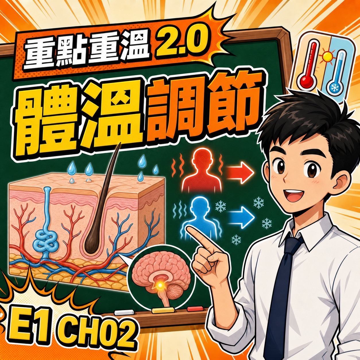 體溫調節 DSE Biology:下丘腦、皮膚與負反饋-DSE生物科重點重溫2.0封面