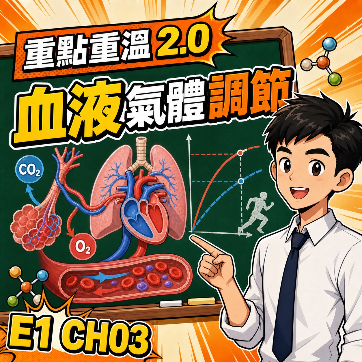 血液氣體成分調節:呼吸率、心率與運動圖表-DSE生物科重點重溫2.0封面