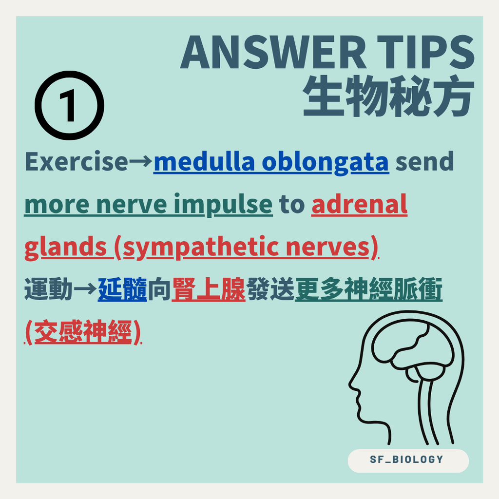 心輸出量等於心率乘以每搏輸出量