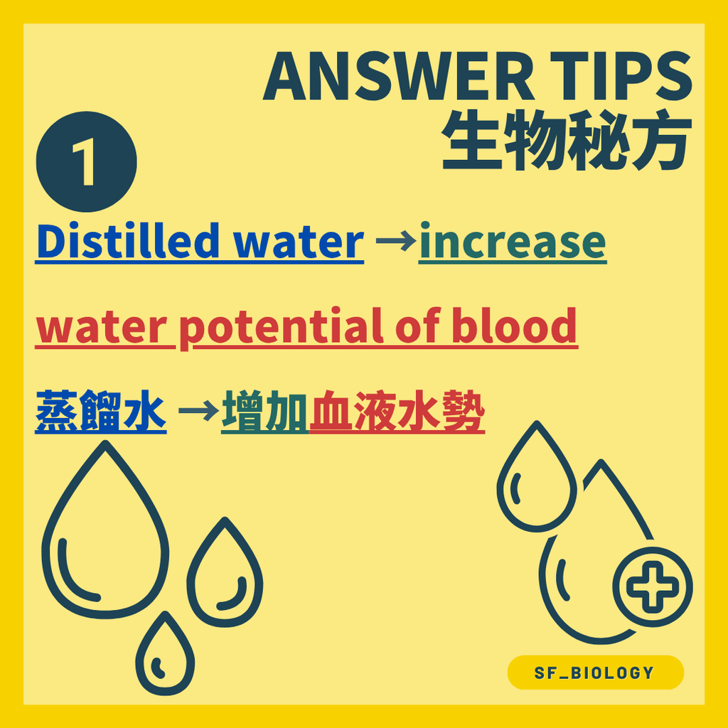 血液水分不足時滲透感受器偵測滲透濃度上升