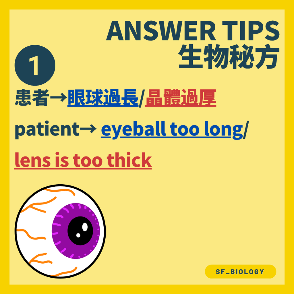 正常眼把遠方平行光線聚焦在視網膜