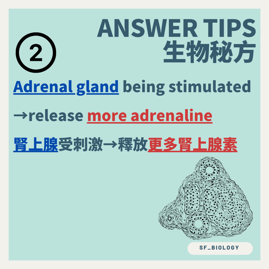 心率表示心臟每分鐘跳動次數