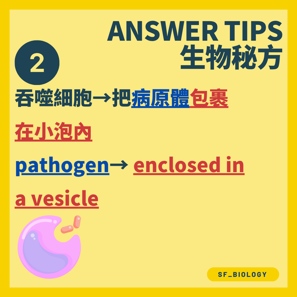 吞噬細胞伸出細胞質突起包圍病原體