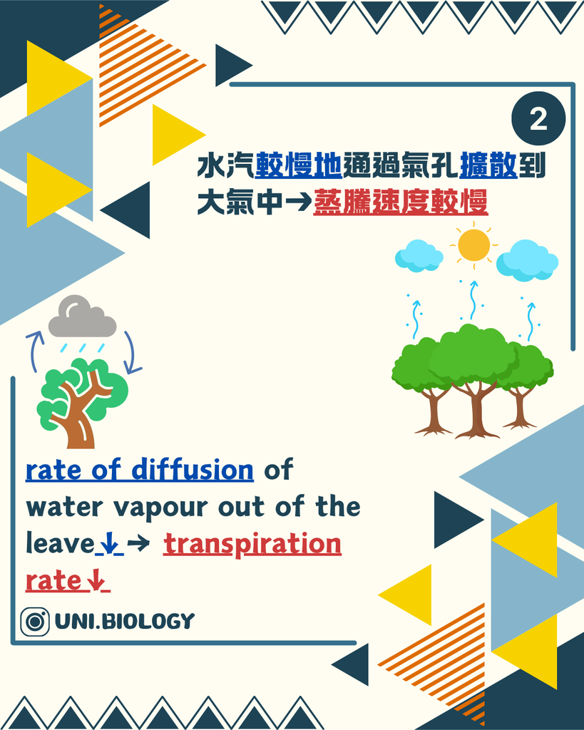 水氣較慢擴散到大氣令蒸騰速率下降