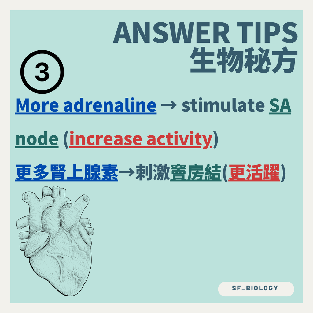 每搏輸出量表示心室每次收縮泵出的血量