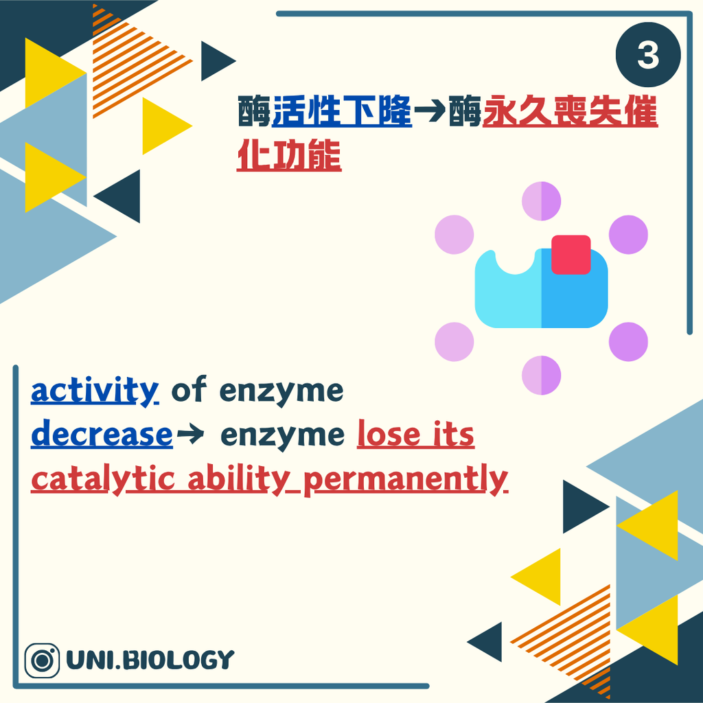 極端 pH 可令酶永久變性並失去催化能力