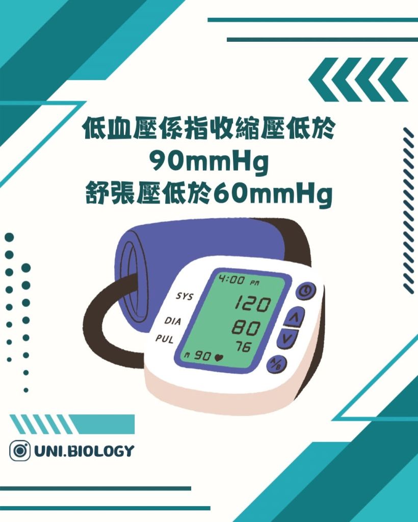 【DSE Bio 生物日常】頭暈唔一定是未老先衰？一文看清低血壓與「體位性低血壓」的成因與機制｜DSE Biology 圖卡 7