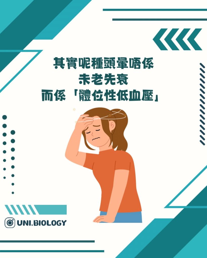 【DSE Bio 生物日常】頭暈唔一定是未老先衰？一文看清低血壓與「體位性低血壓」的成因與機制｜DSE Biology 圖卡 5