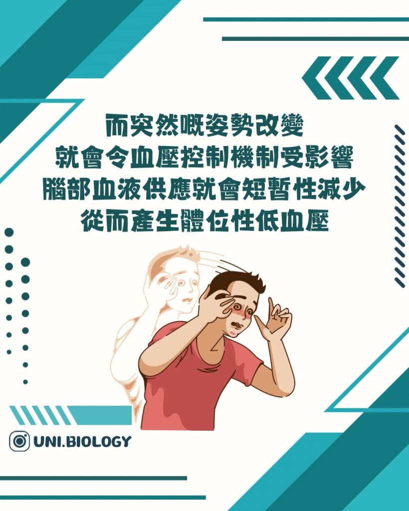 【DSE Bio 生物日常】頭暈唔一定是未老先衰？一文看清低血壓與「體位性低血壓」的成因與機制｜DSE Biology 圖卡 15