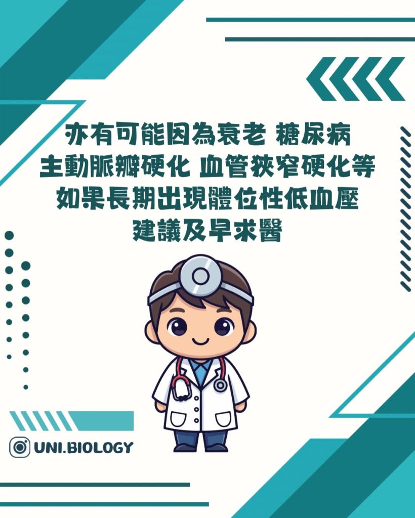 【DSE Bio 生物日常】頭暈唔一定是未老先衰？一文看清低血壓與「體位性低血壓」的成因與機制｜DSE Biology 圖卡 19
