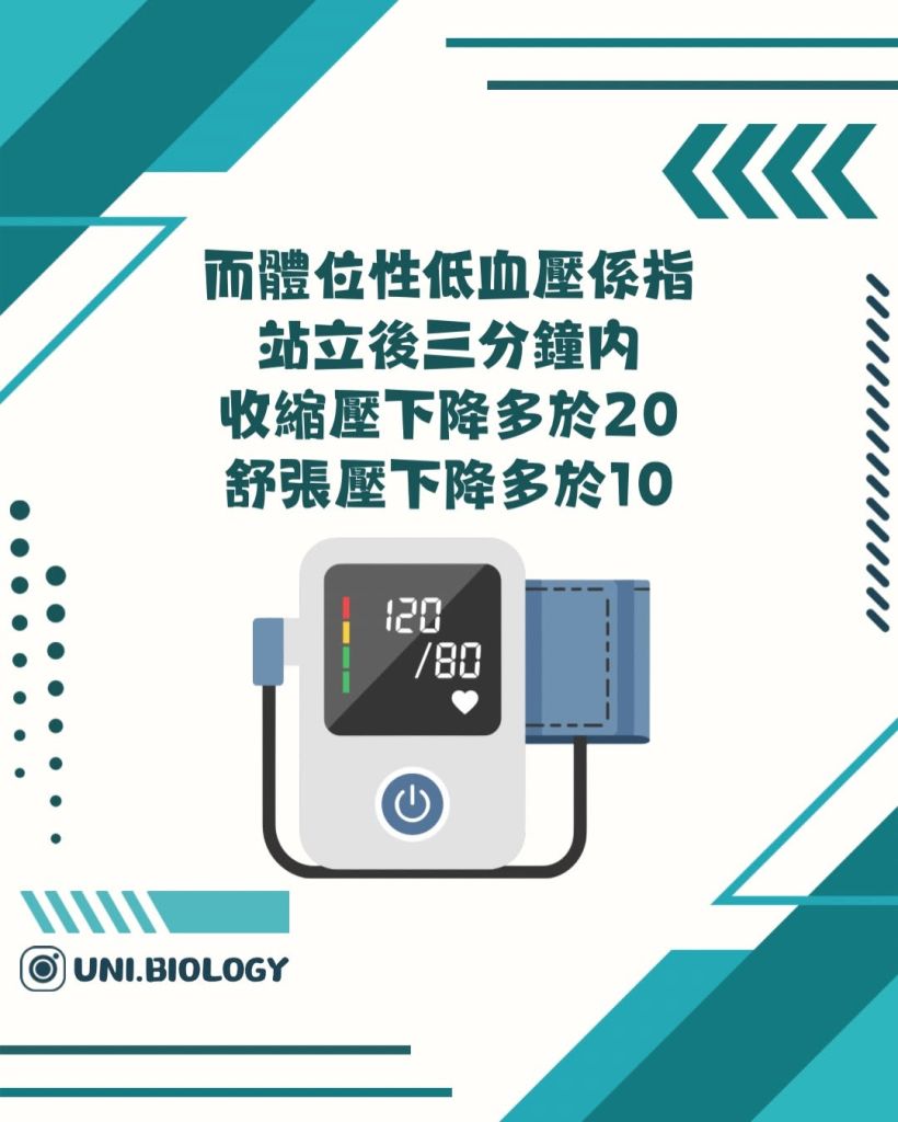 【DSE Bio 生物日常】頭暈唔一定是未老先衰？一文看清低血壓與「體位性低血壓」的成因與機制｜DSE Biology 圖卡 9