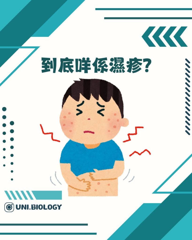 【DSE Bio 生物日常】到底咩係濕疹？異位性皮膚炎成因、症狀與日常護理全面拆解｜DSE Biology 圖卡 3