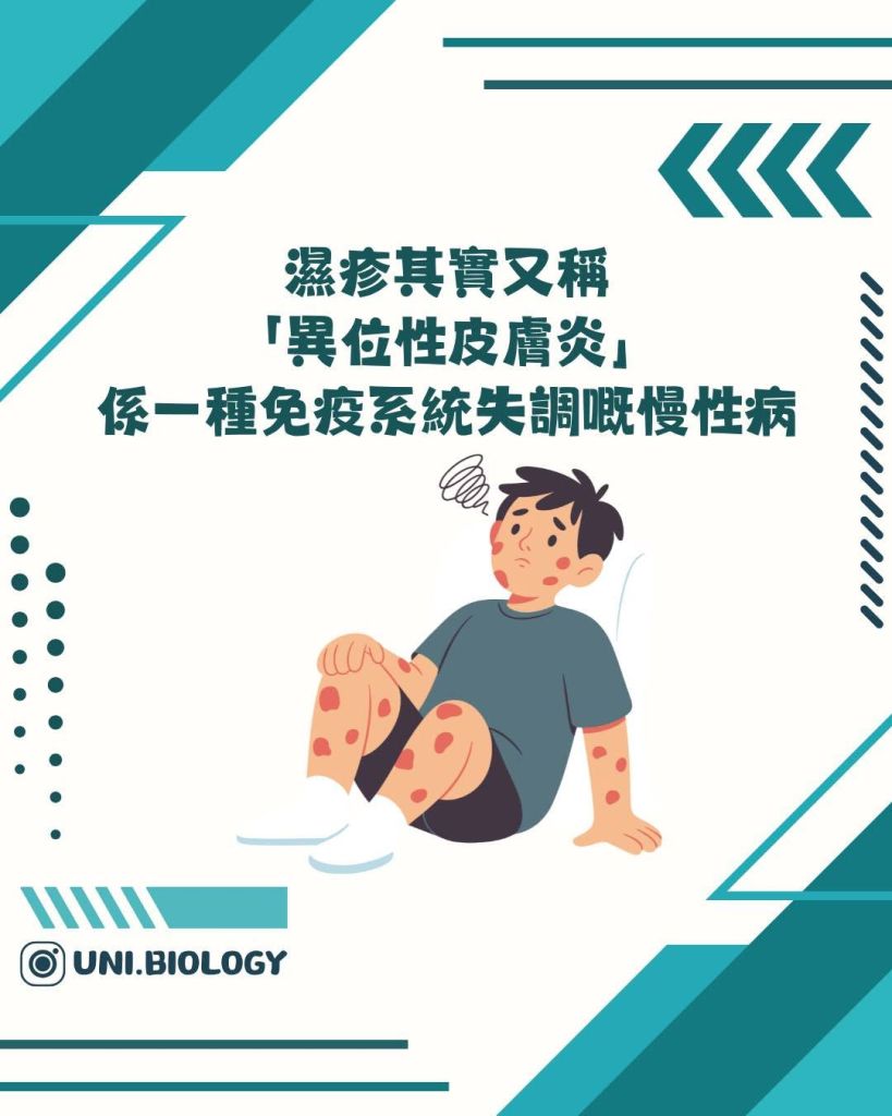 【DSE Bio 生物日常】到底咩係濕疹？異位性皮膚炎成因、症狀與日常護理全面拆解｜DSE Biology 圖卡 5