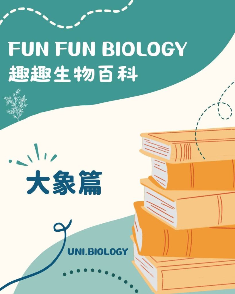 【Fun Fun Biology 趣趣生物百科】大象篇：大象係點同同伴溝通？拆解動物行為與溝通密碼｜DSE Biology 圖卡 3