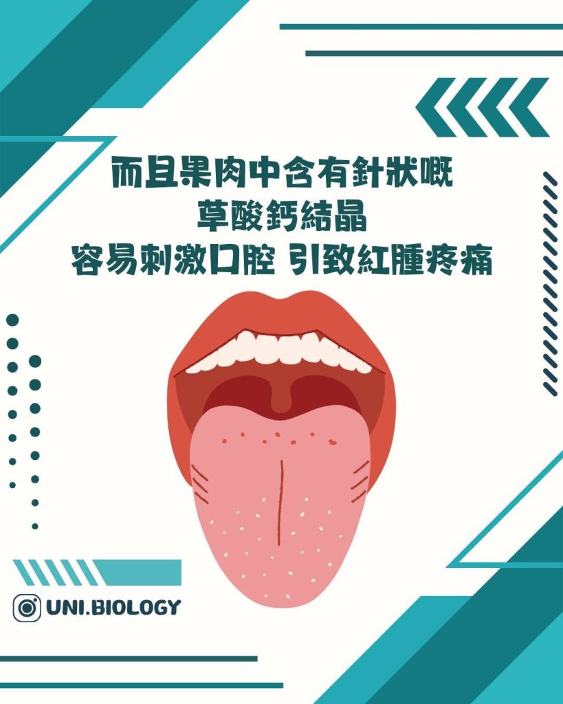 【DSE Bio 生物日常】食奇異果都會出事?點解食完奇異果個口會覺得痺?拆解口腔過敏綜合症 (OSA)|DSE Biology 圖卡 9