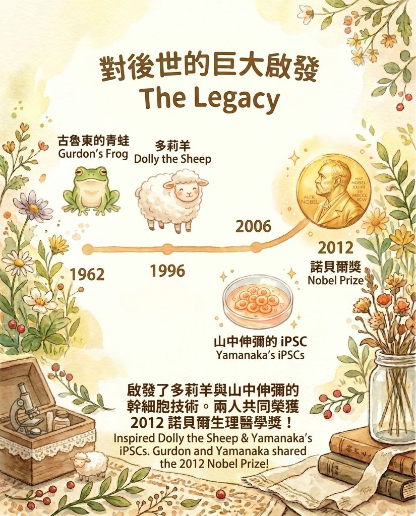 【DSE Biology 知識點】複製技術鼻祖：古魯東 (John Gurdon) 的青蛙核移植實驗與細胞分化迷思｜DSE Biology 圖卡 13