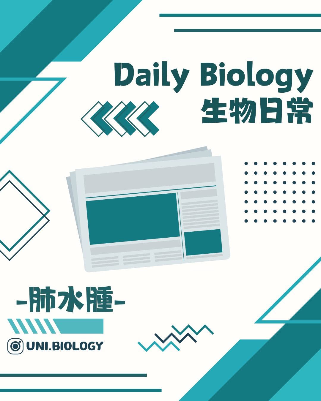 【DSE Bio 生物日常】咩叫肺水腫/肺積水？成因、症狀與治療機制全面拆解｜DSE Biology 圖卡 2