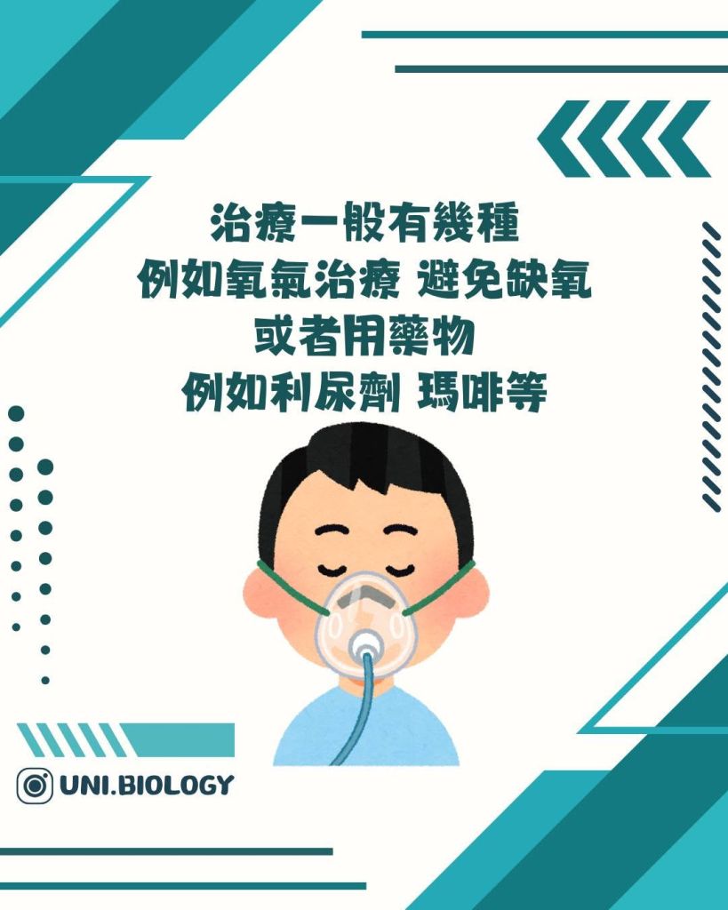 【DSE Bio 生物日常】咩叫肺水腫/肺積水？成因、症狀與治療機制全面拆解｜DSE Biology 圖卡 15