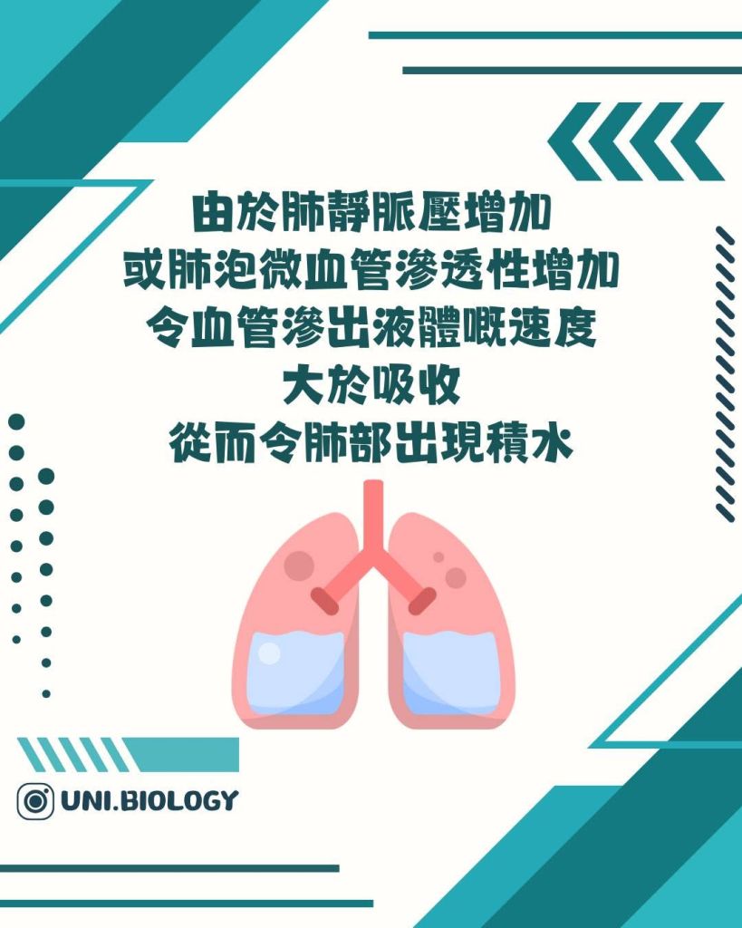 【DSE Bio 生物日常】咩叫肺水腫/肺積水？成因、症狀與治療機制全面拆解｜DSE Biology 圖卡 7