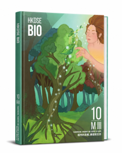 中五DSE Biology藝術風筆記－植物運輸