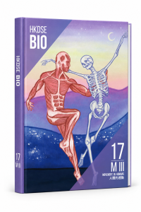 中五DSE Biology藝術風筆記－人體運動