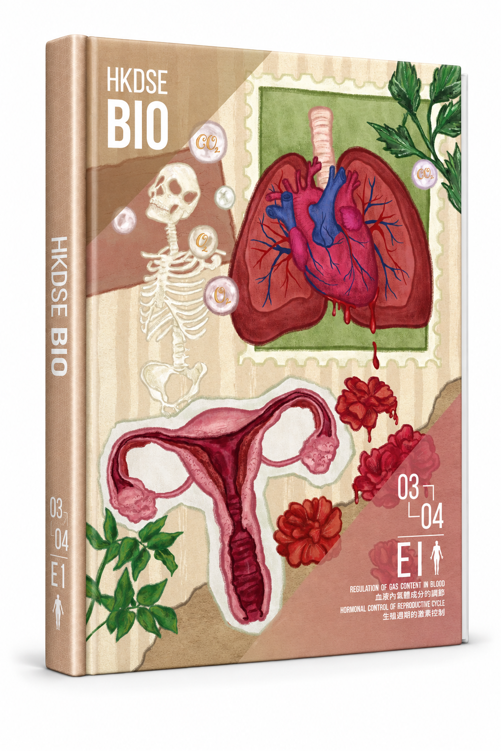 中六DSE Biology選修筆記－人體生理調節二