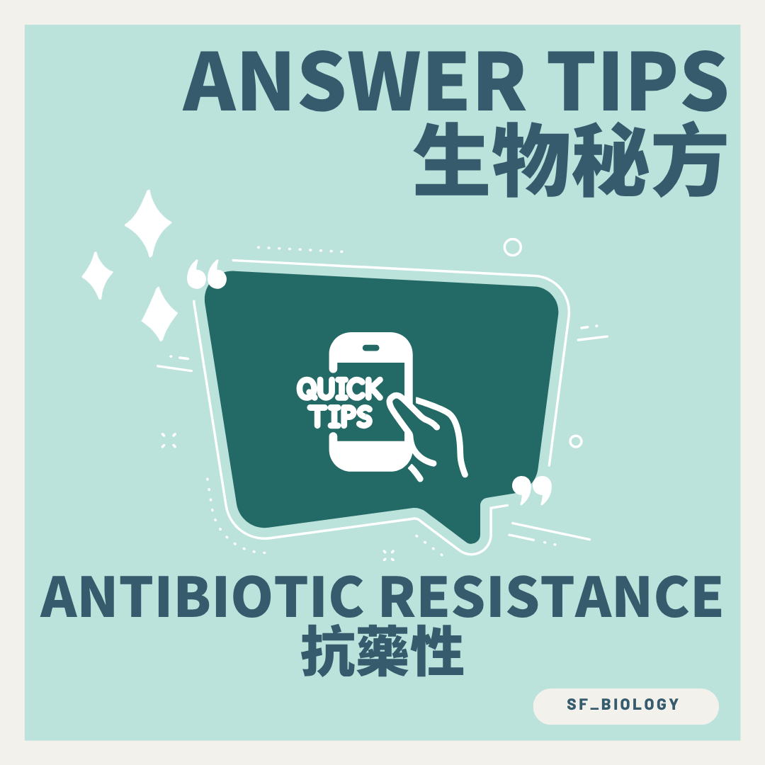 抗生素抗藥性經自然選擇形成的四步概念圖