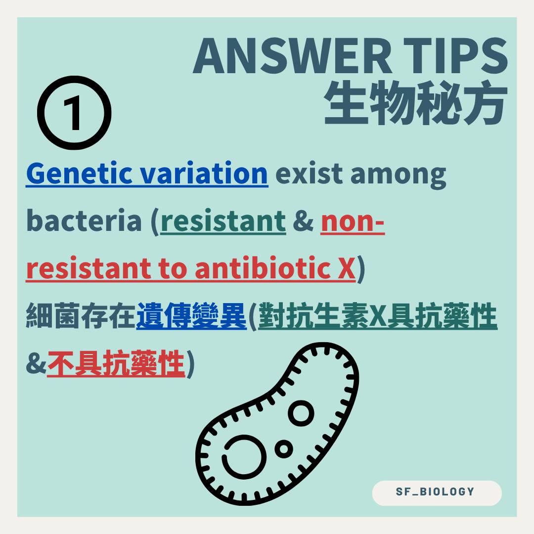 細菌族群存在對抗生素具抗藥性及不具抗藥性的遺傳變異