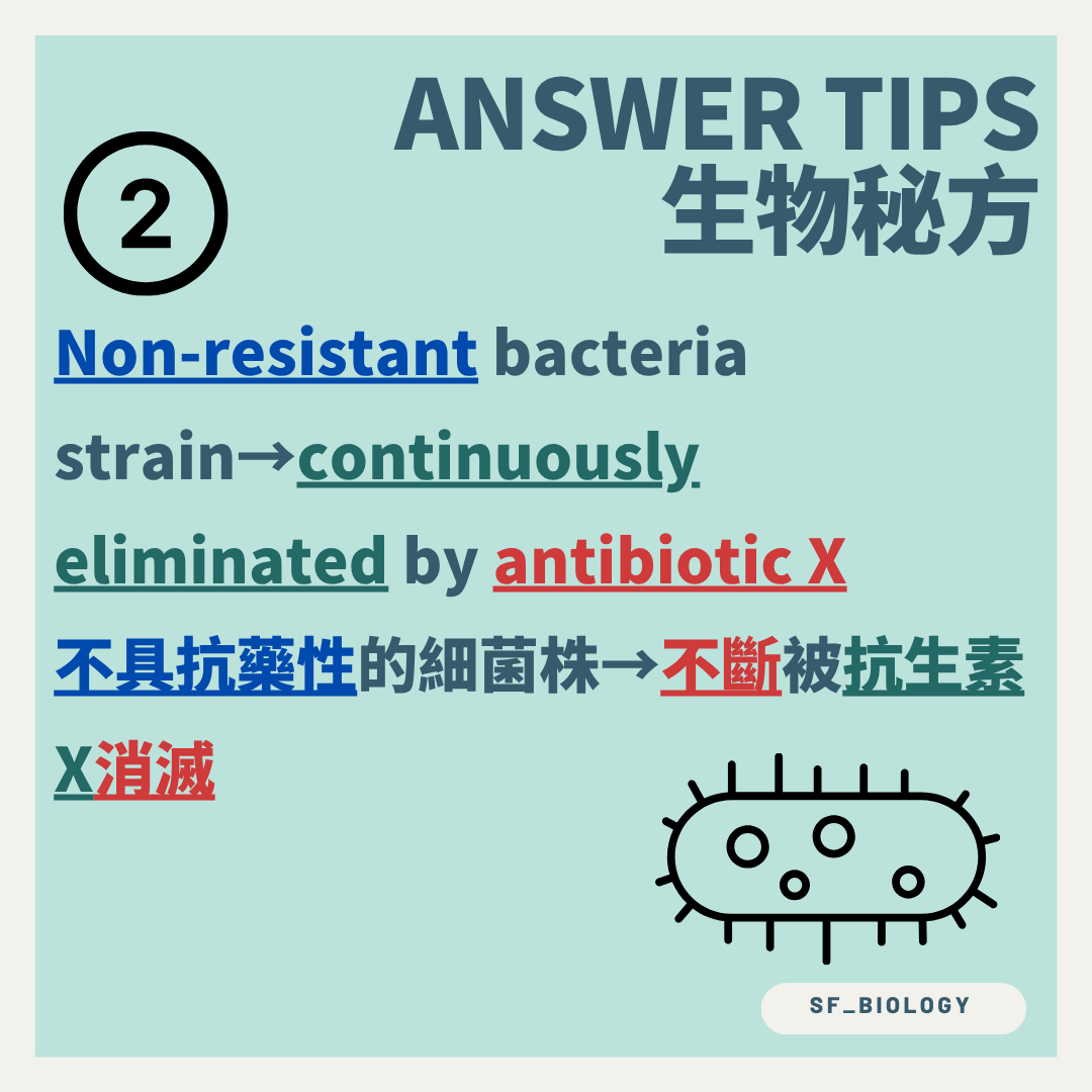 抗生素持續消滅不具抗藥性的細菌